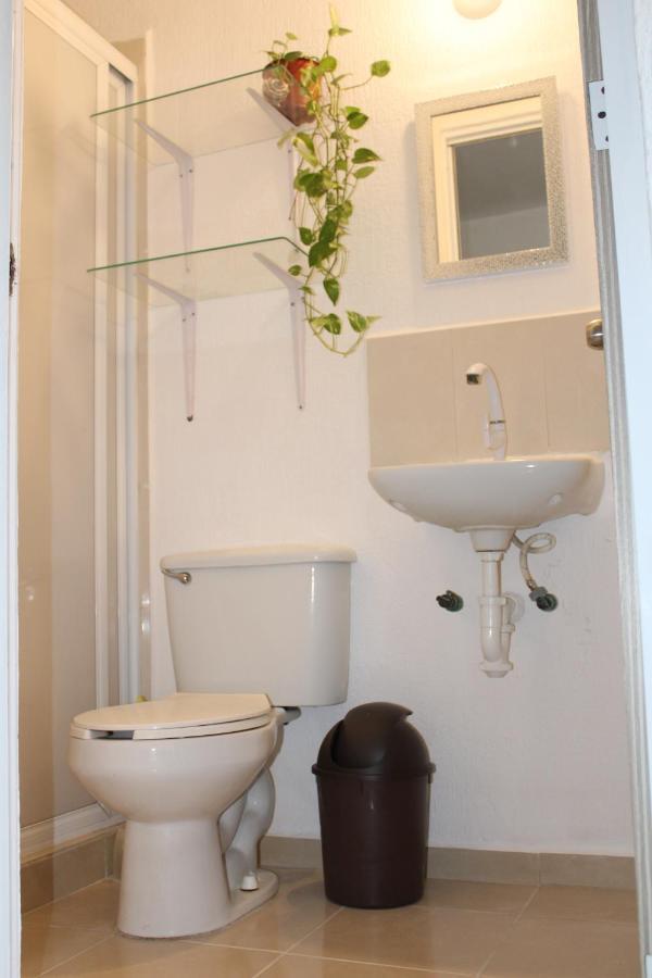 Relajante Y Acogedor Apartamento Con Alberca En Cancun Dış mekan fotoğraf